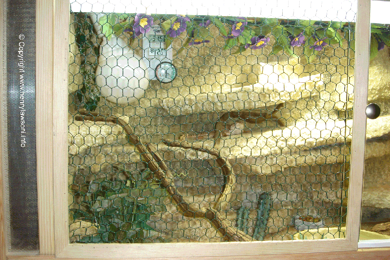 {{:maschendraht.gif?direct|